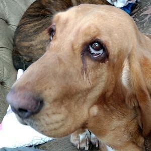 Meet your Posher, Bethany